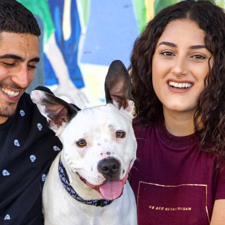 Two smiling people sitting with a dog outside in Los Angeles in front of a mural