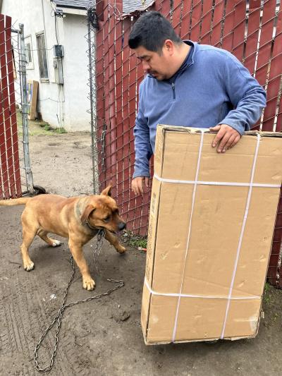 Person holding boxed dog house and standing next to his dog
