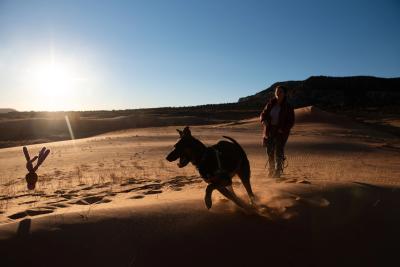Silhouette of a person throwing a toy on a sand dune for Pharaoh the dog to chase