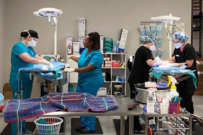 Two people at two surgical tables doing high-volume spay/neuter in Houston