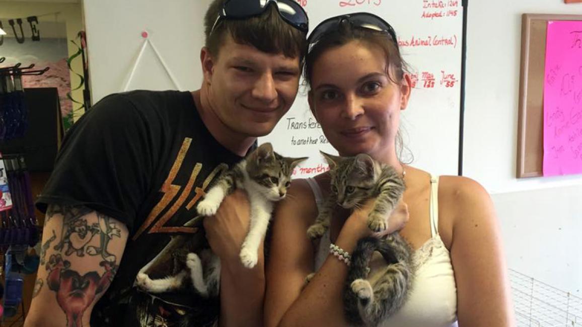 Newbork-Kittens-grant-Georgia-Animal-Ark-Rescue-adoption.jpg