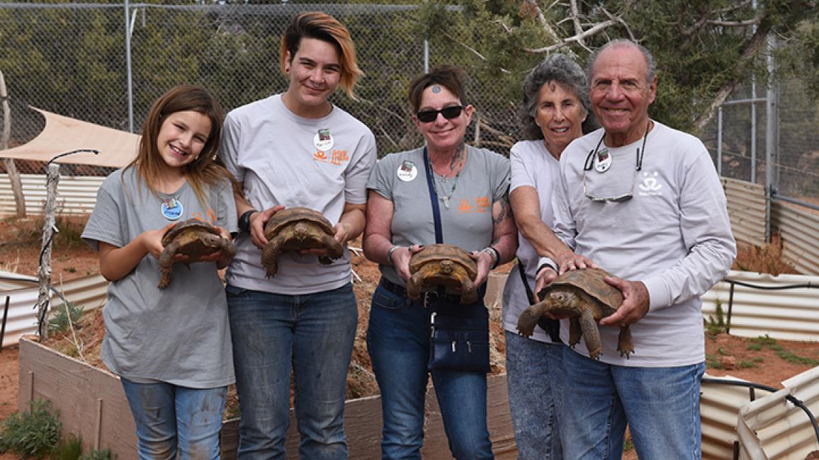 Family-trip-Winnick-Family-Tortoises-9194MW.jpg