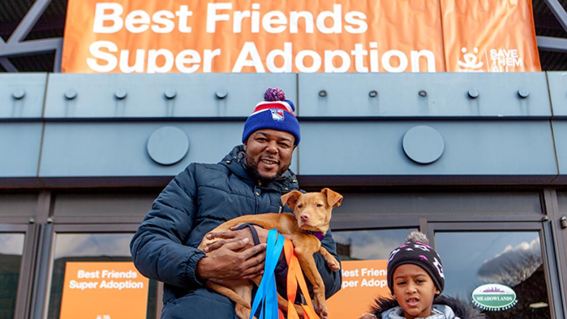 New-York-Super-Adoption-Dec2018-winter_18_1626_rs.jpg