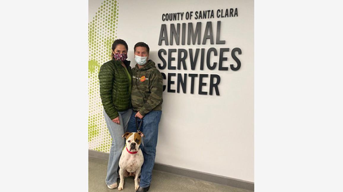 Dog-adoption-Jimmy-Roscoe-courtesy-Santa-Clara-County.jpg