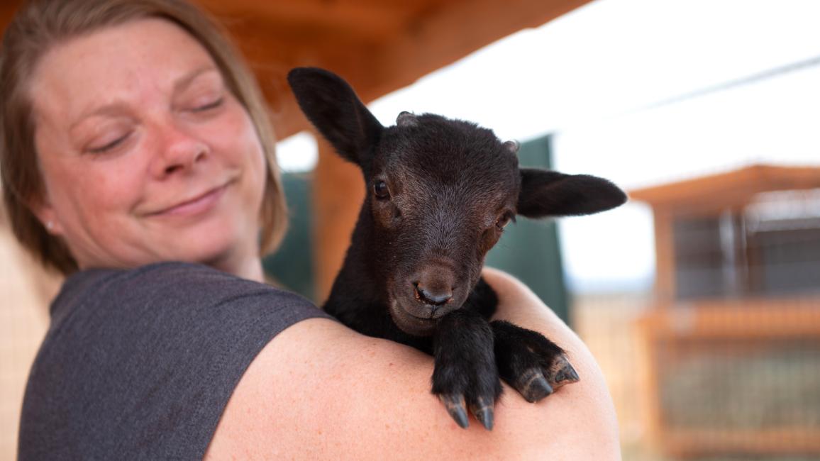 Person holding Emmett the lamb in her arms