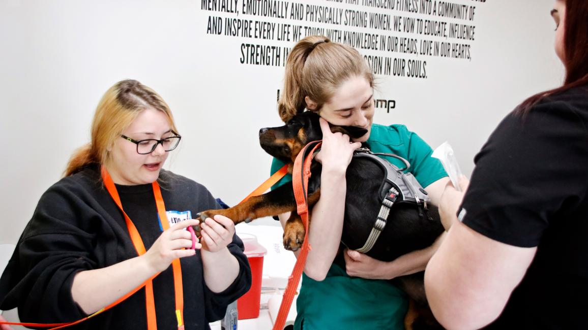 A person cradling a dog while another person checks out his feet at a Ruff Haven Crisis Sheltering clinic