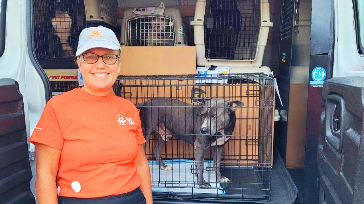 Smiling person wearing Best Friends branded clothes next to a dog in a crate in a transport van