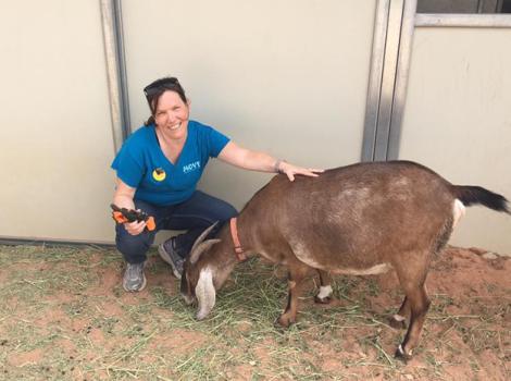 Volunteer-Denise-Groll-goat.jpg