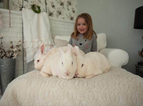 Adopt-albino-rabbit-Anderson-Family-Bunny-Adoption-5323MW.jpg