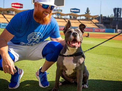 Dog-cancer-LA-Dodgers-baseball-Tyson-courtesy-of-Lori-Fusaro.jpg