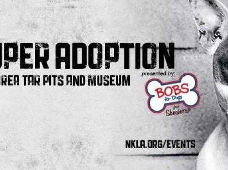 NKLA Super Adoption Weekend ad