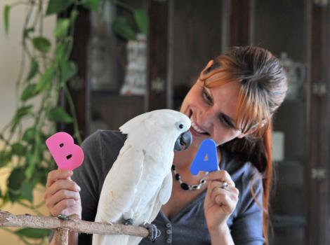 Jen Cunha holding letters A and B for Ellie the Goffin’s cockatoo to see
