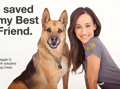 Maggie Q and her adopted dog